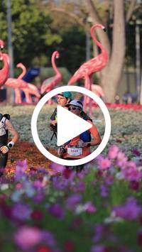 BIB:  <button type="button" onclick="openModal(27588686)" class="btn btn-primary btn-sm float-right" data-toggle="modal" data-target=".modal-high-quality">
                <i class="fa fa-download"></i> Download
                </button>